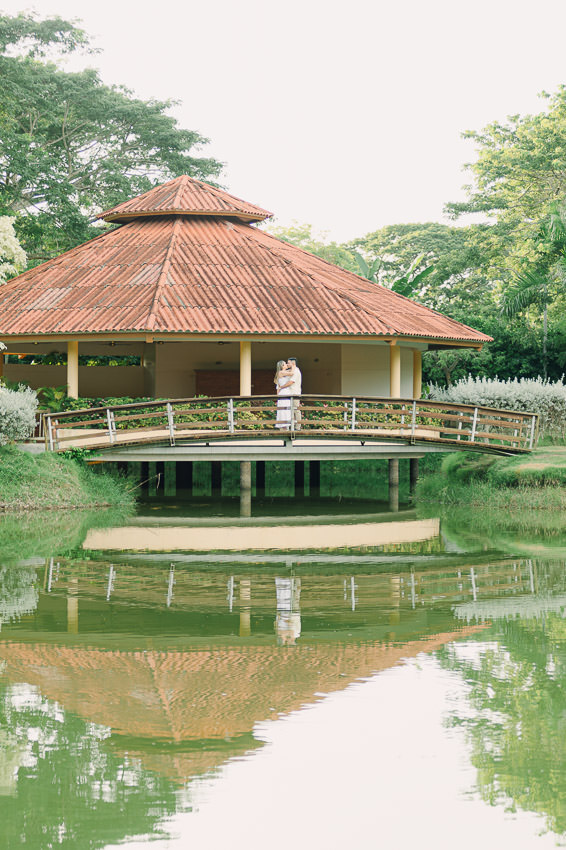 Descripción de la imagen 15